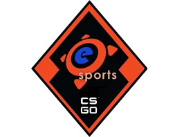 eSports 2013