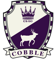 Cobblestone